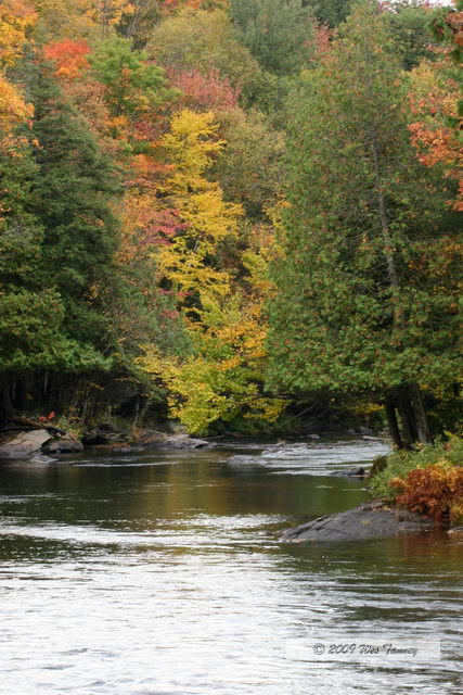 2009_10_03-AlgonquinPark_2153-web.JPG