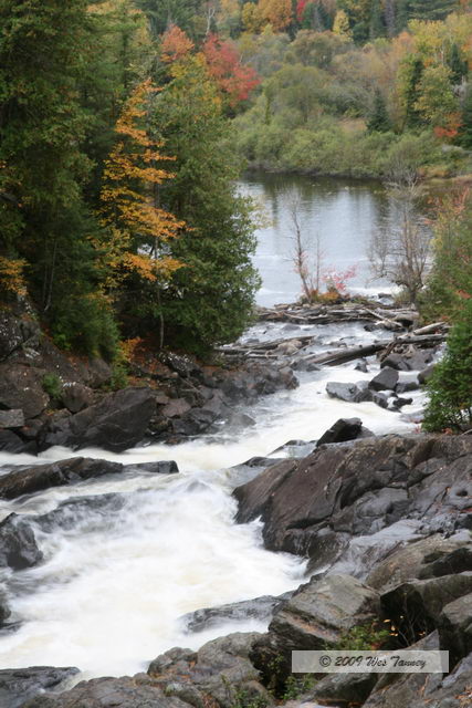 2009_10_03-AlgonquinPark_2173-web.JPG