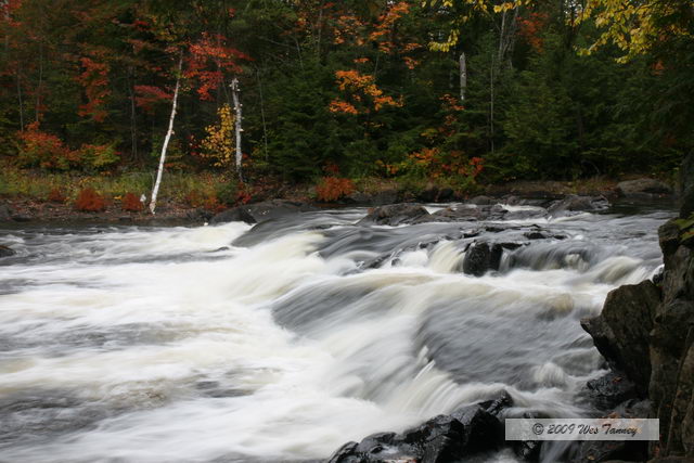 2009_10_03-AlgonquinPark_2181-web.jpg