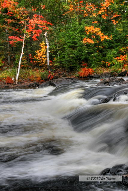2009_10_03-AlgonquinPark_2191_87_88-web.jpg