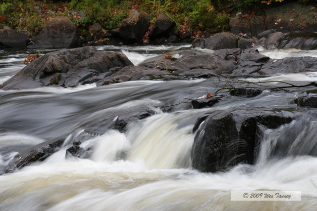 2009_10_03-AlgonquinPark_2195-web.jpg