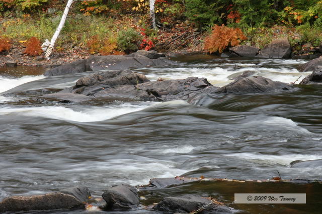 2009_10_03-AlgonquinPark_2223-web.jpg