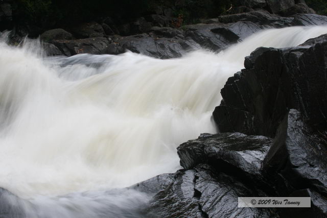 2009_10_03-AlgonquinPark_2226-web.jpg