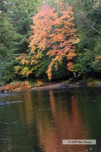 2009_10_03-AlgonquinPark_2275-web.JPG