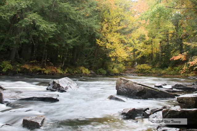 2009_10_03-AlgonquinPark_2281-web.jpg