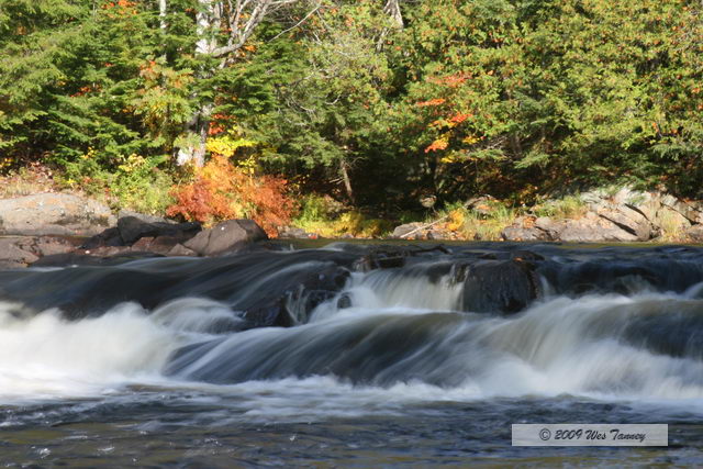 2009_10_03-AlgonquinPark_2374-web.jpg