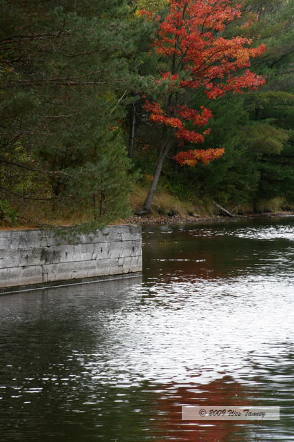 2009_10_04-AlgonquinPark_2490-web.jpg