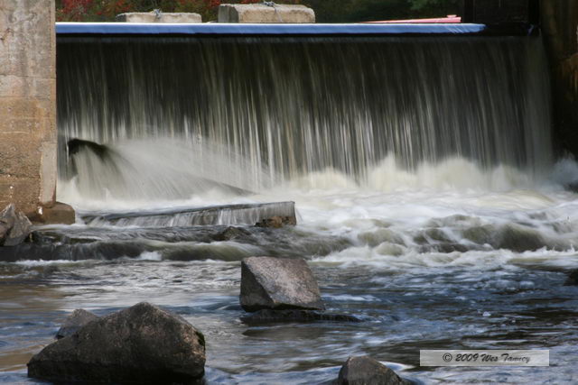 2009_10_04-AlgonquinPark_2533-web.jpg