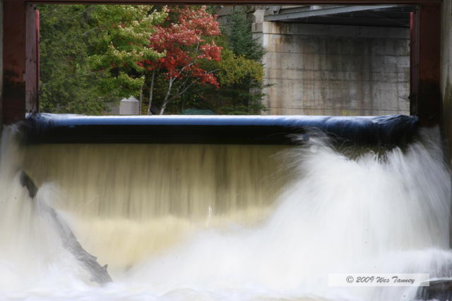 2009_10_04-AlgonquinPark_2535-web.jpg