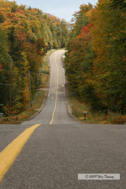 2009_10_04-AlgonquinPark_2649-web.jpg