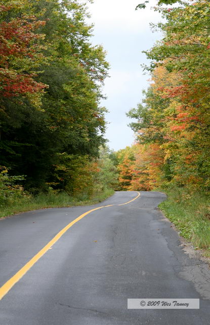 2009_10_04-AlgonquinPark_2804-web.jpg