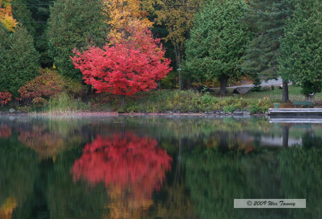 2009_10_12-Highway35FallColours_2903-web.jpg