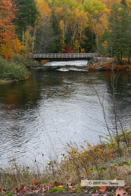 2009_10_12-Highway35FallColours_3237-web.jpg