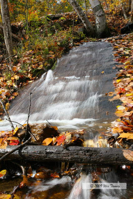 2009_10_12-Highway35FallColours_3316-web.jpg