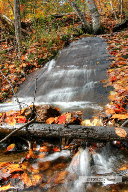 2009_10_12-Highway35FallColours_3326_4_5-web.jpg