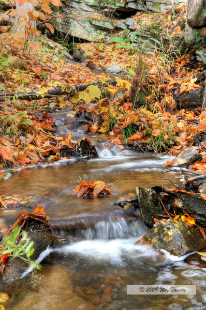 2009_10_12-Highway35FallColours_3382_3_4-web.jpg