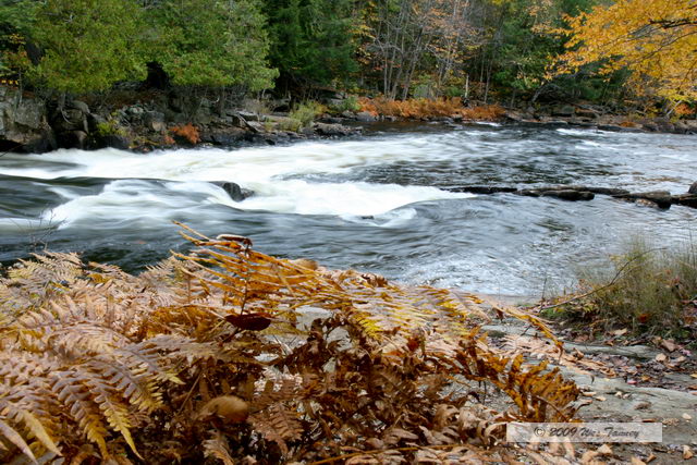 2009_10_12-Highway35FallColours_3515-web.jpg