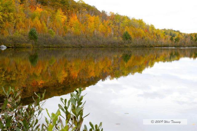 2009_10_12-Highway35FallColours_3544-web.jpg