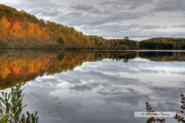 2009_10_12-Highway35FallColours_3548_6_7-web.jpg