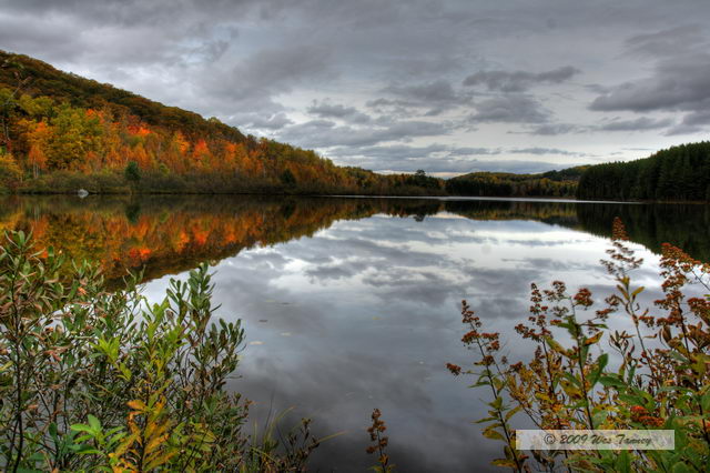 2009_10_12-Highway35FallColours_3552_0_1-web.jpg