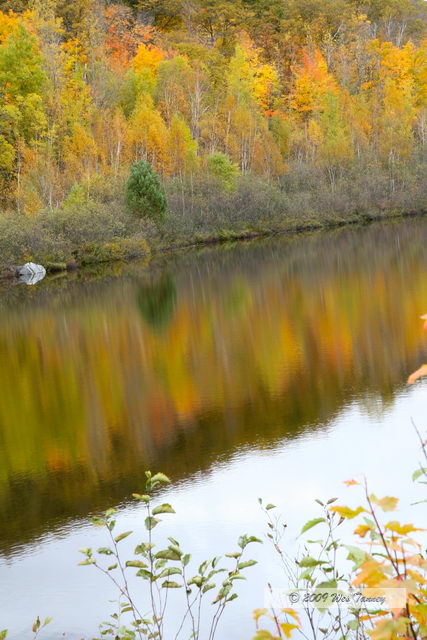 2009_10_12-Highway35FallColours_3563-web.jpg