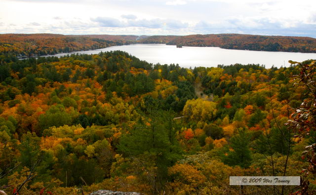 2009_10_12-Highway35FallColours_3573-web.jpg