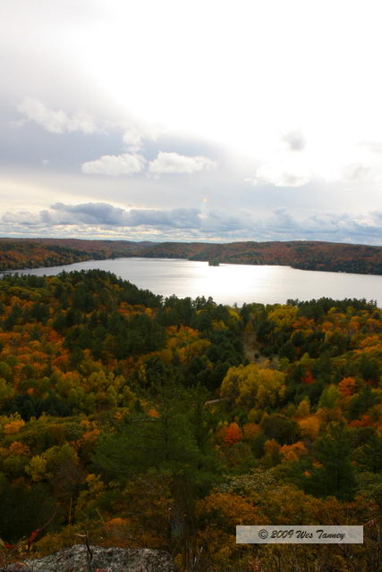 2009_10_12-Highway35FallColours_3587-web.jpg