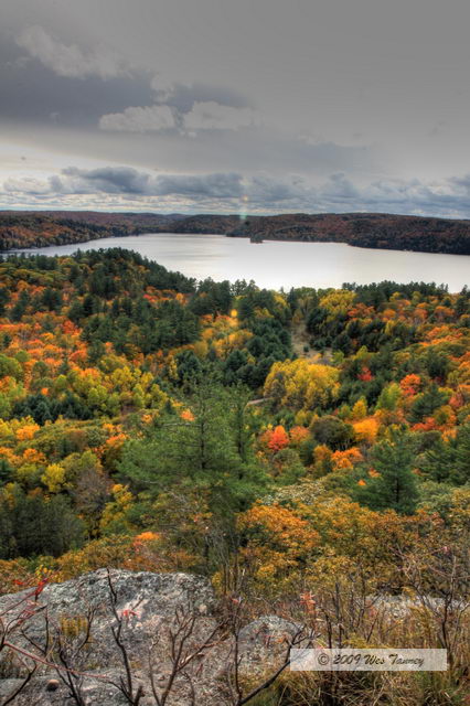 2009_10_12-Highway35FallColours_3590_88_89-web.jpg