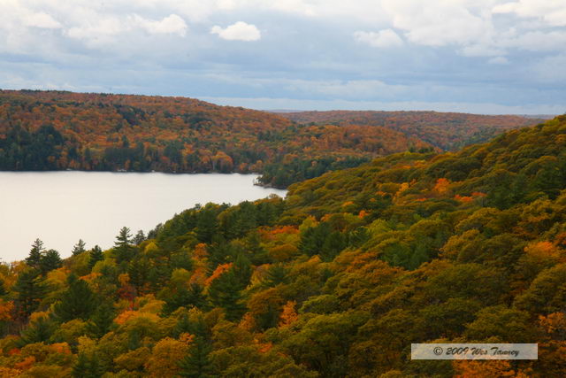 2009_10_12-Highway35FallColours_3625-web.jpg