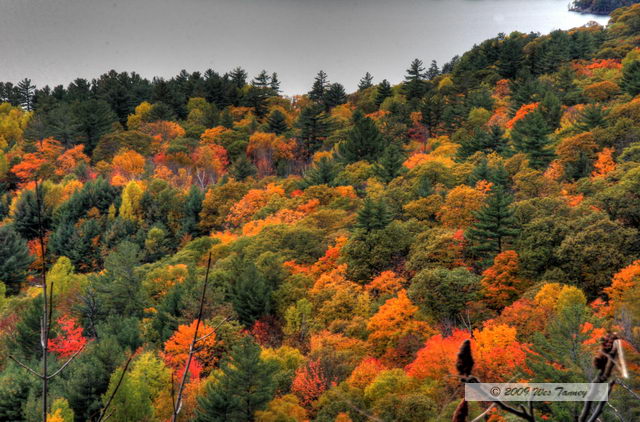 2009_10_12-Highway35FallColours_3629_7_8-web.jpg