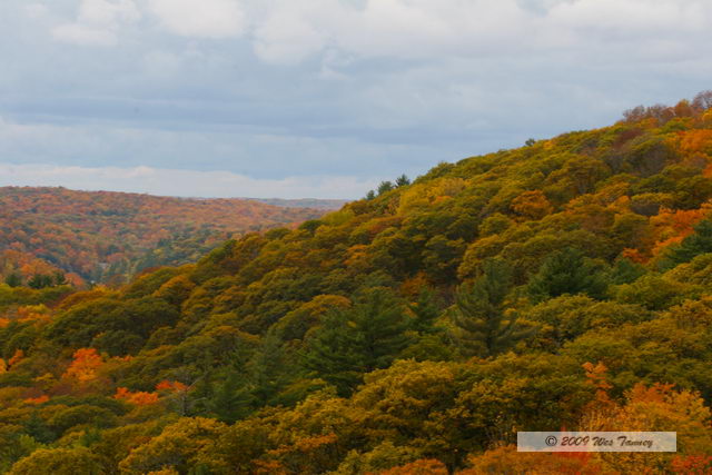 2009_10_12-Highway35FallColours_3634-web.jpg