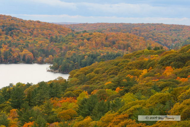 2009_10_12-Highway35FallColours_3636-web.jpg