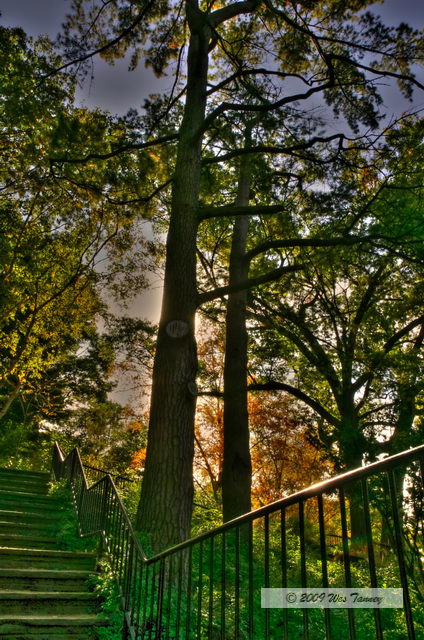 2009_10_17-HighPark_3802_3_4-web.jpg