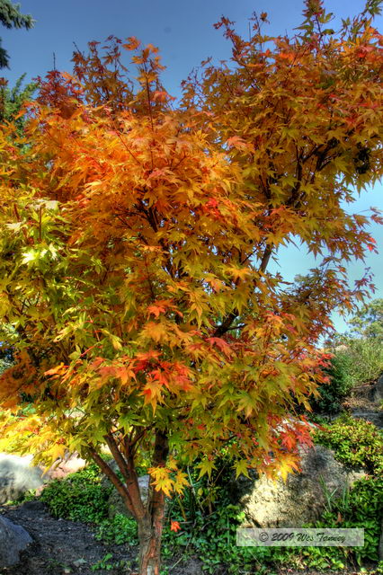 2009_10_17-HighPark_4105_3_4-web.jpg