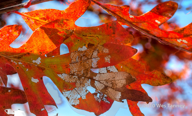 2010_10_10-OntarioTripHome_8022_3_4-web.jpg