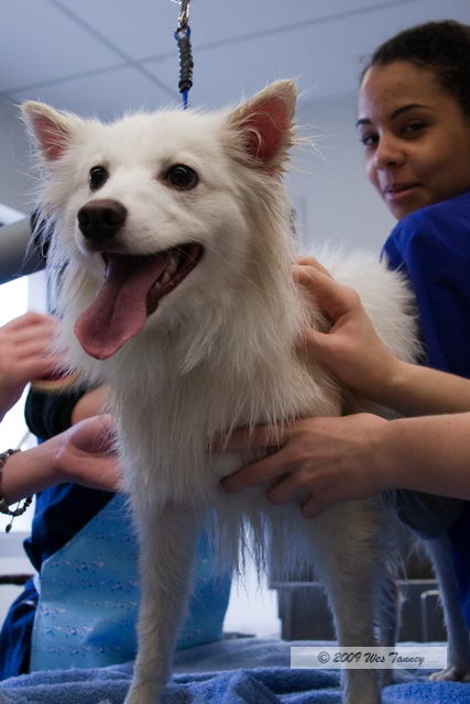 2010_02_02_College Activities_5574a-web.jpg