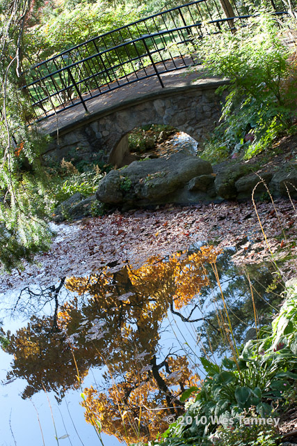 2010_10_16-HighPark_8286-web.jpg