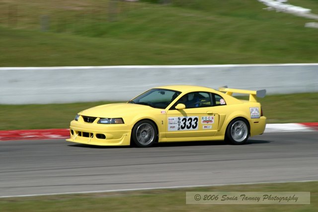 333_5278.jpg