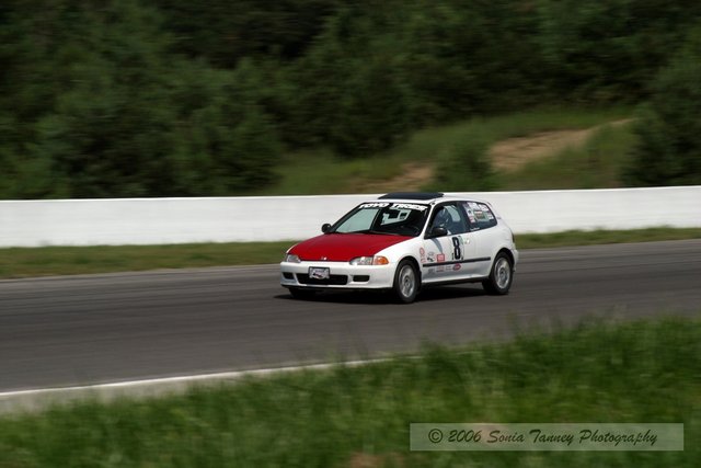 8_5242.jpg