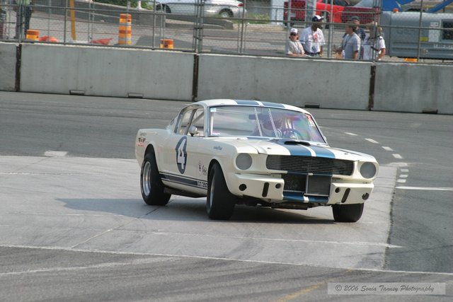 04_8256.JPG